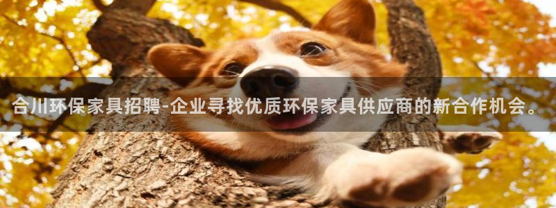 沐鸣2登入测速：合川环保家具招聘-企业寻找优质环保家具供应商
