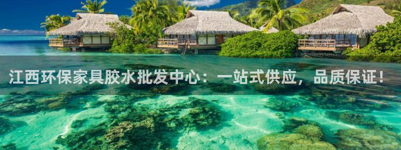 沐鸣2手机客户端：江西环保家具胶水批发中心：一站式供应，品质