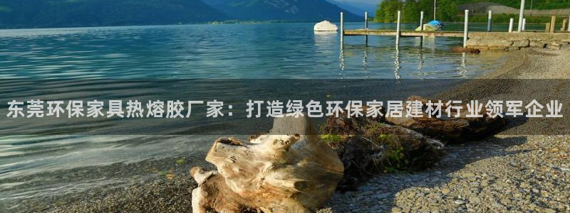 沐鸣2总代：东莞环保家具热熔胶厂家：打造绿色环保家居建材行业