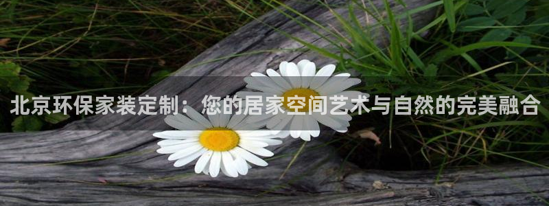 沐鸣2平台登录网址是什么：北京环保家装定制：您的居家空间艺术