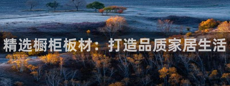 沐鸣2手机客户端：精选橱柜板材：打造品质家居生活
