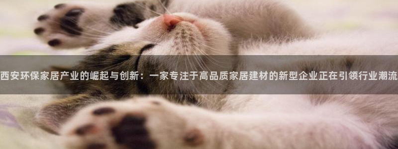 沐鸣2注册网址：西安环保家居产业的崛起与创新：一家专注于高品