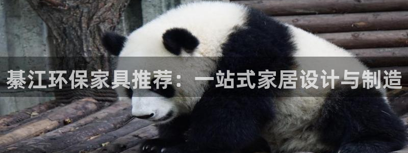 沐鸣2平台首页：綦江环保家具推荐：一站式家居设计与制造