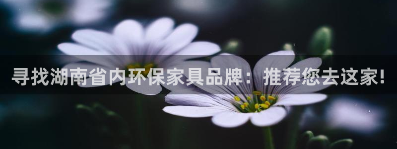 沐鸣2平台官方登陆