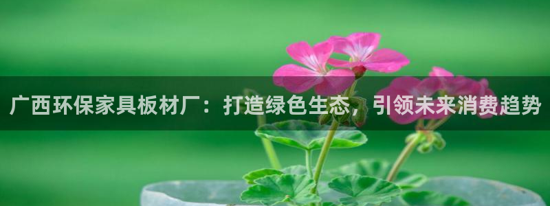 沐鸣2平台首页登录：广西环保家具板材厂：打造绿色生态，引领未