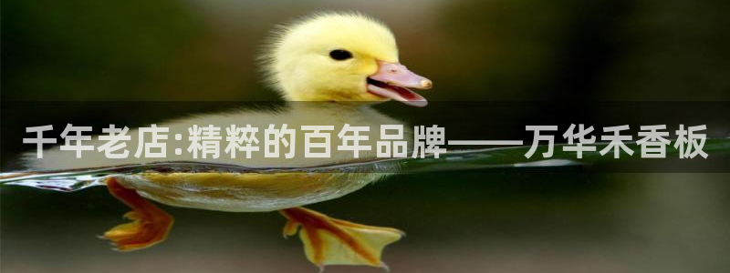 沐鸣2官网网站中心：千年老店:精粹的百年品牌——万华禾香板